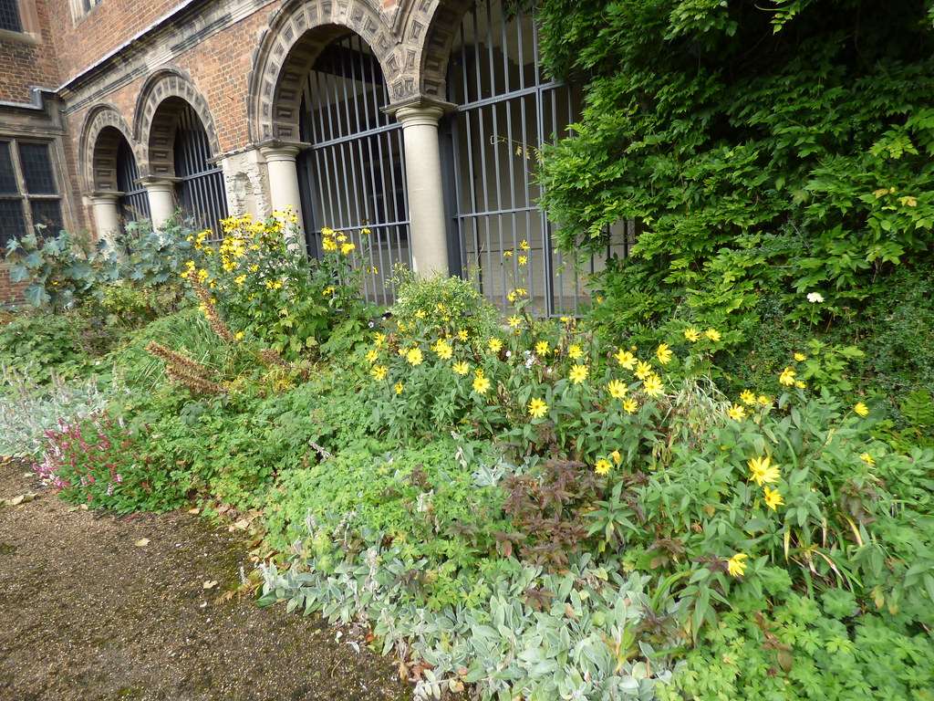 Aston Hall Lady Holte's Garden flowers A look around t… Flickr
