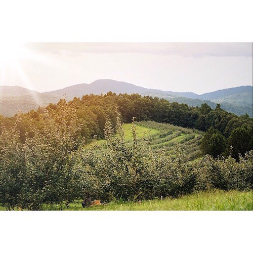 Zirconia, North Carolina Pat Jenkins Flickr