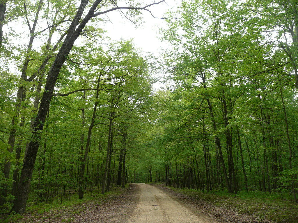 Twin Lakes Basic Camping Land Between the Lakes KY/TN Flickr