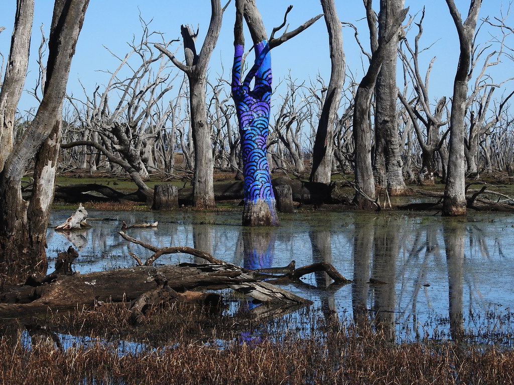 The water gallery at Winton Wetlands The Water Gallery was… Flickr