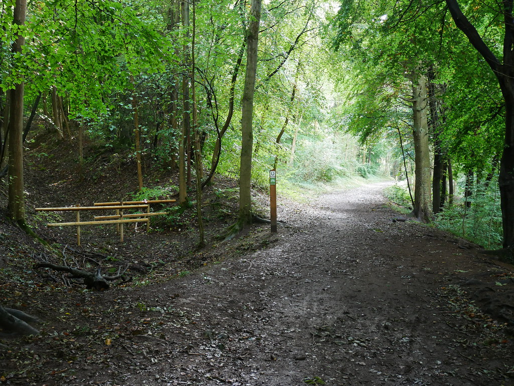 Wendover Woods Gruffalo trail 2 Daniel Kirwilliam Flickr