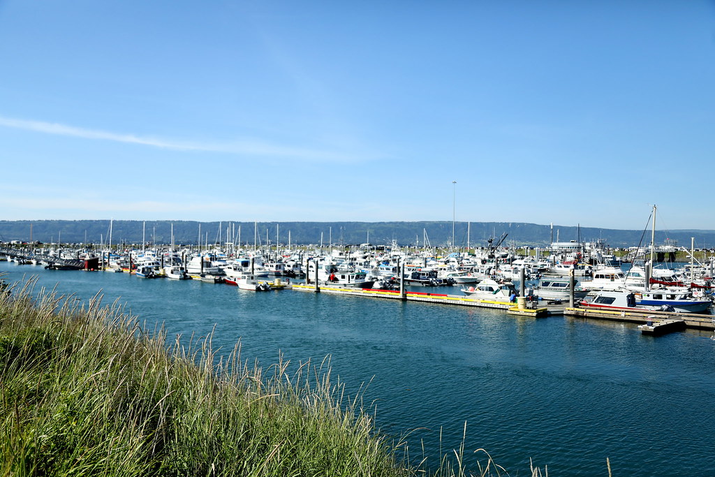 homer_harbor_5Div2474 The harbor at Homer, Alaska, on the … Flickr