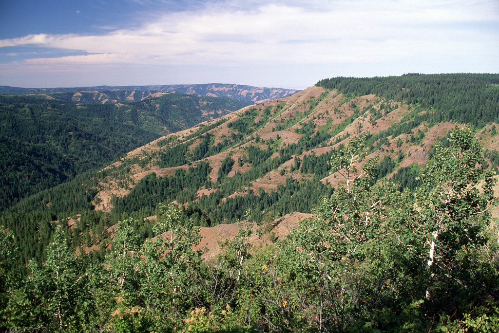 Umatilla Breaks, Umatilla National Forest.jpg U.S. Forest Service