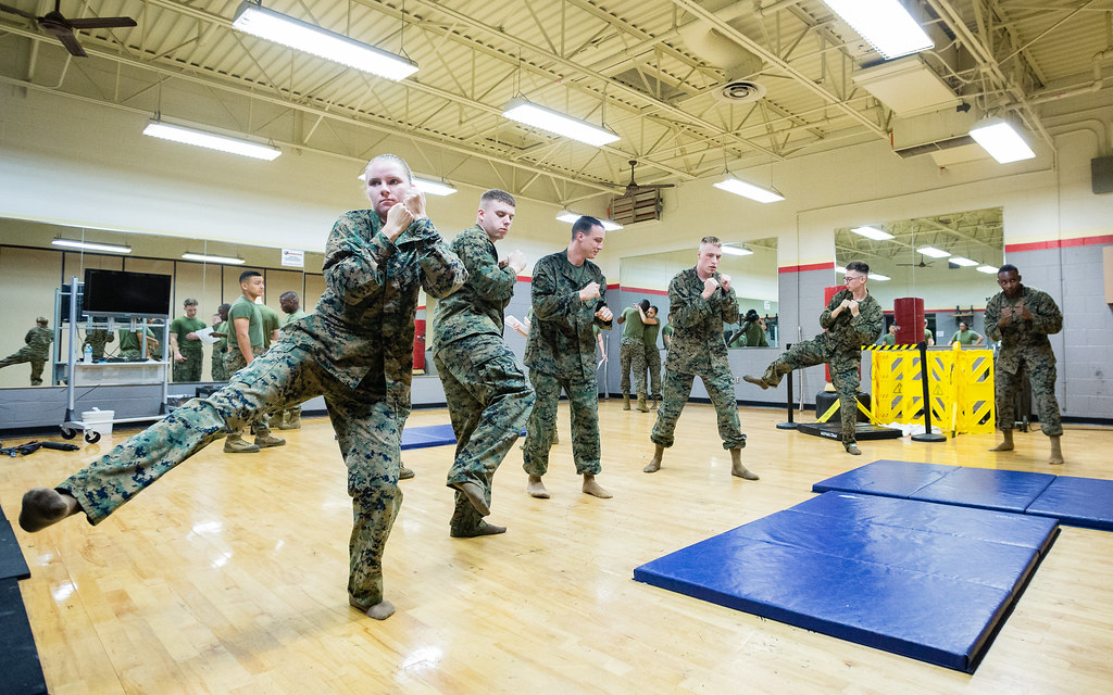 MARTIAL_ARTS4 Marines participate in Marine Corps Martial… Flickr