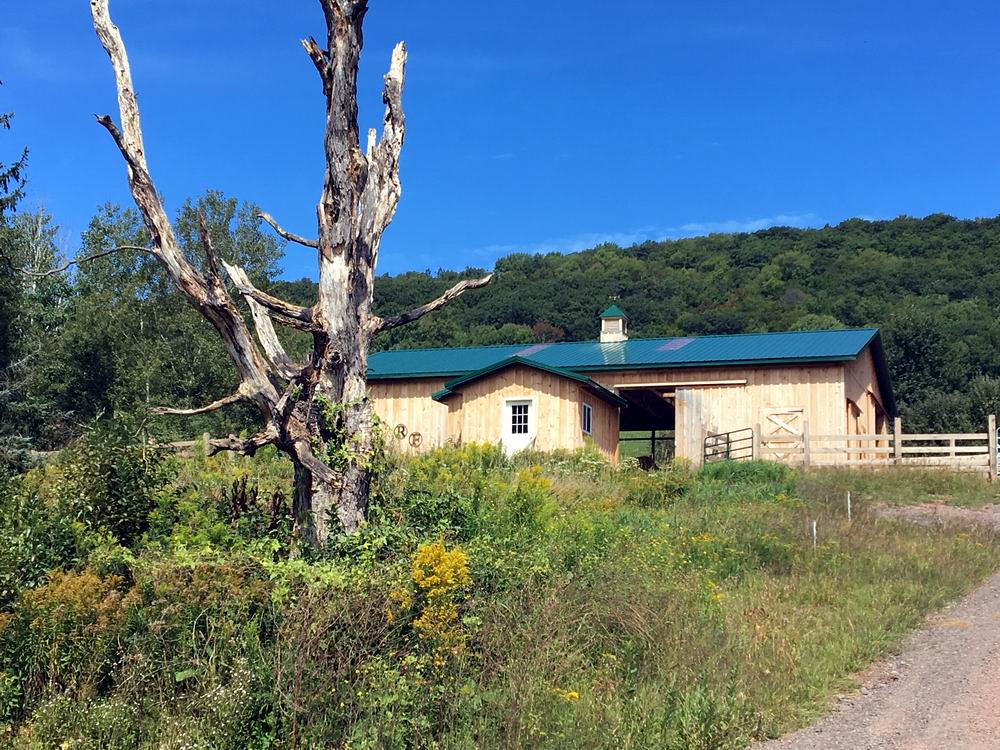Upstate New York Horse farm jlheu Flickr