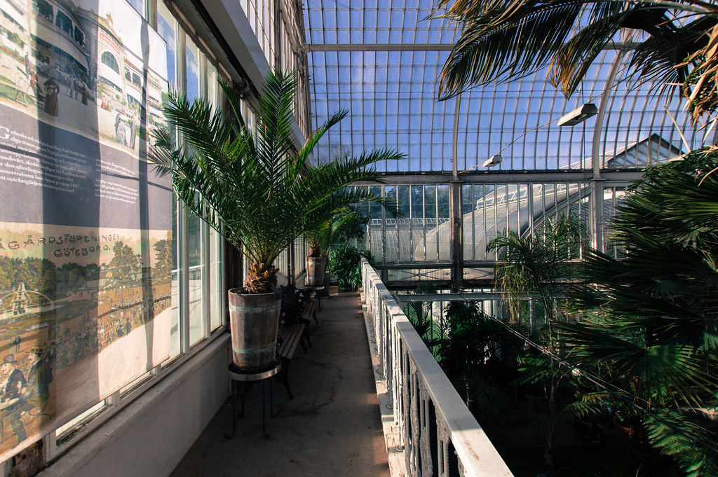 Greenhouse Balcony Julio Flickr