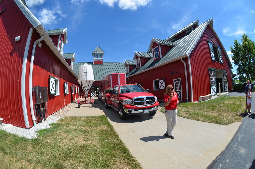 DSC_5365_149857 Warm Spring Ranch Clydesdale's 73017 PhotoJoe99