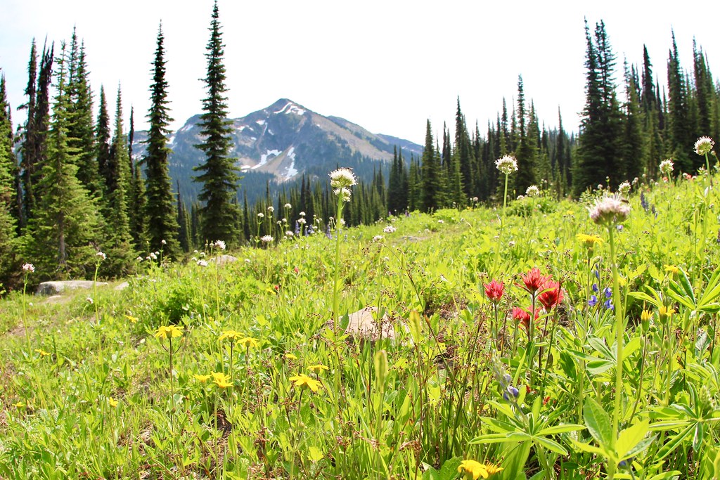 Camping at Martha Creek Provincial Park Find reservations at Martha