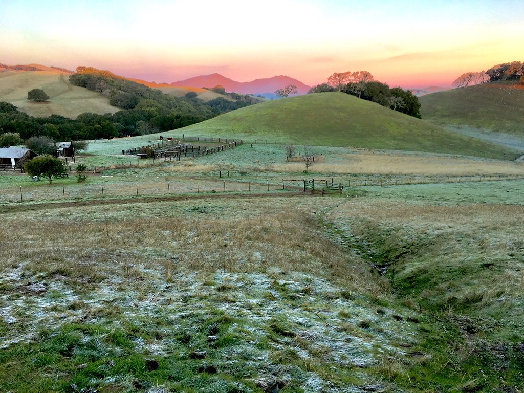 Elevation of Byron Hwy, Byron, CA, USA Topographic Map Altitude Map