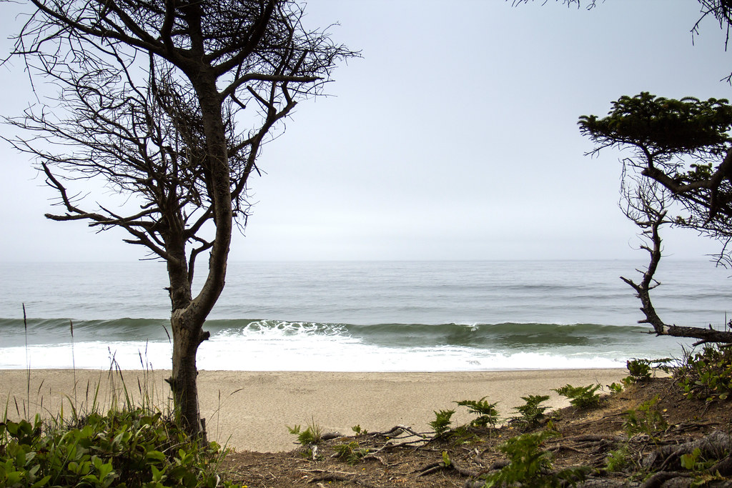 Gleneden Beach, Oregon Bonnie Moreland Flickr