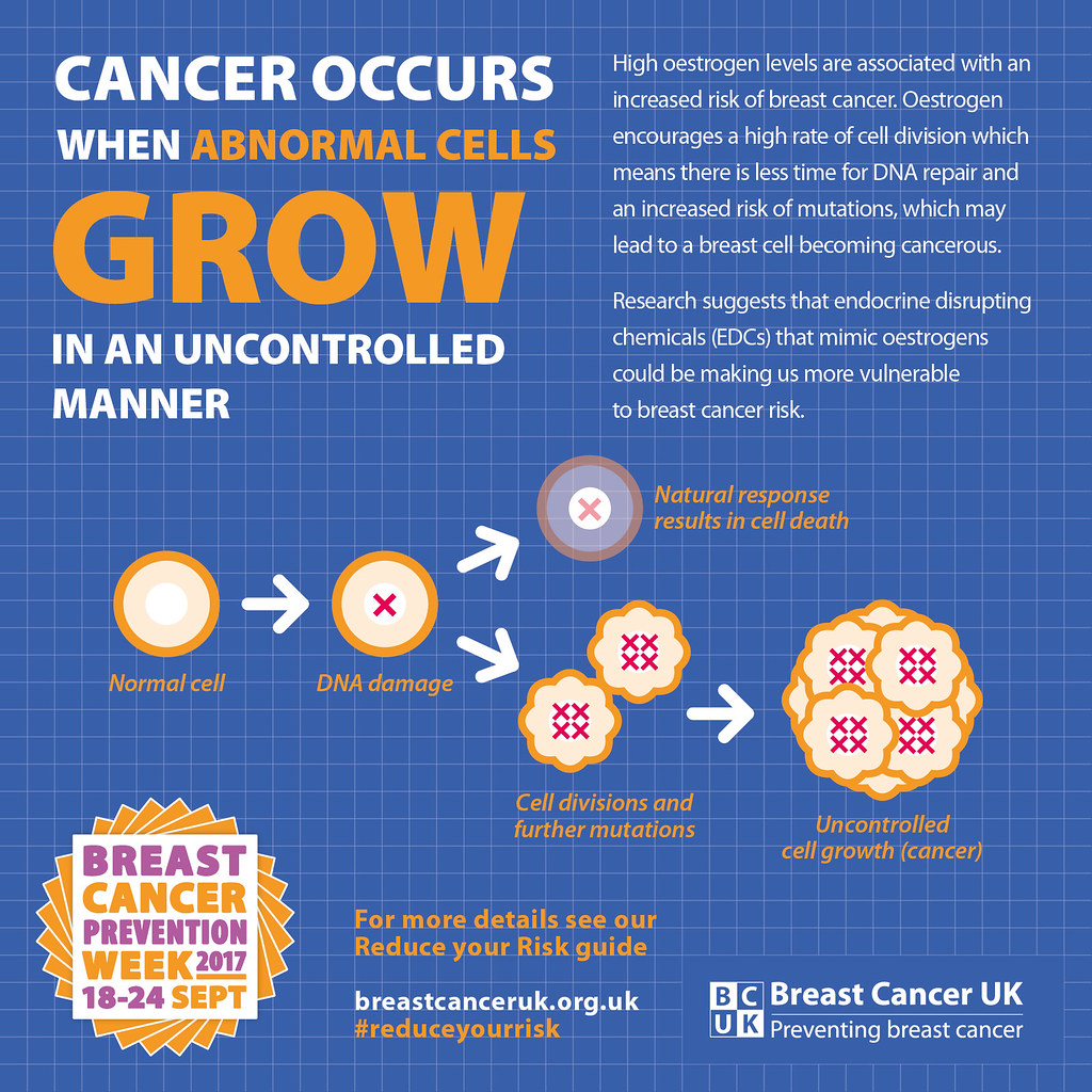 Endocrine Disrupting Chemicals and Increased Breast Cancer… Flickr