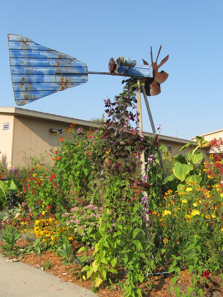 IMG_2847 Henderson MN Car Show 9/12/17 Tracy MacAllister Flickr