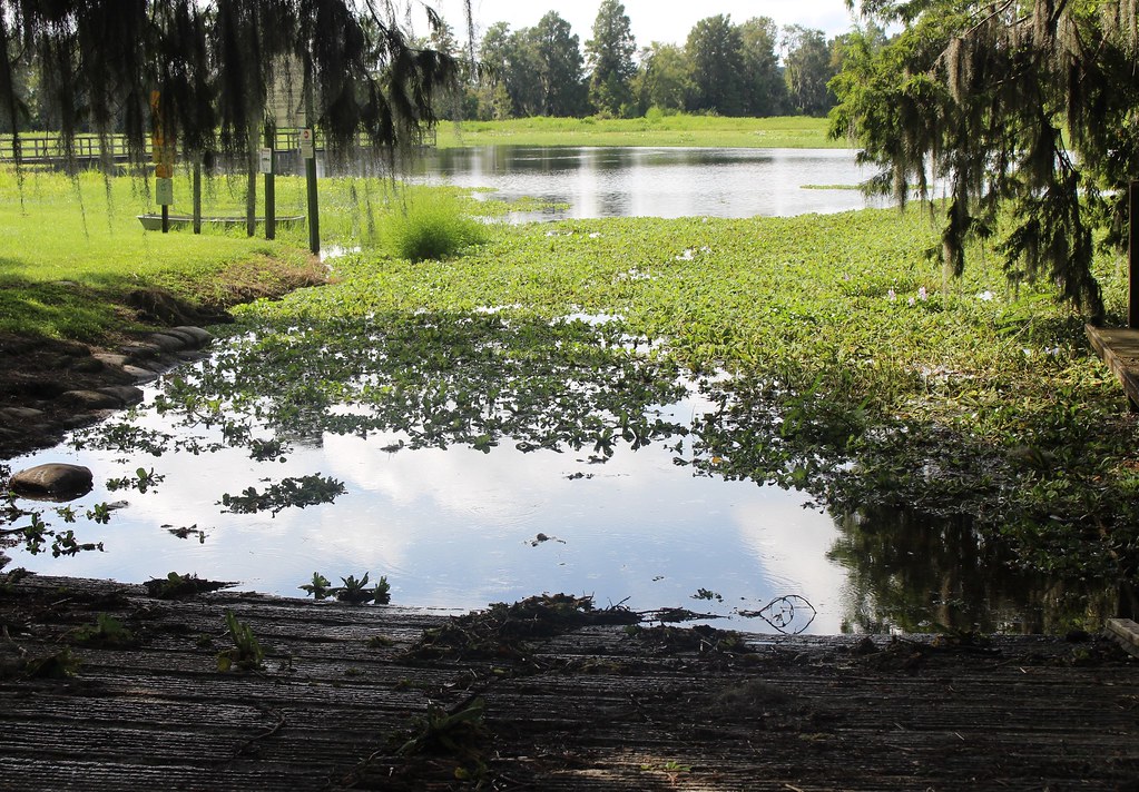 Alligator Lake boat ramp Alligator Lake boat ramp, Alligat… Flickr