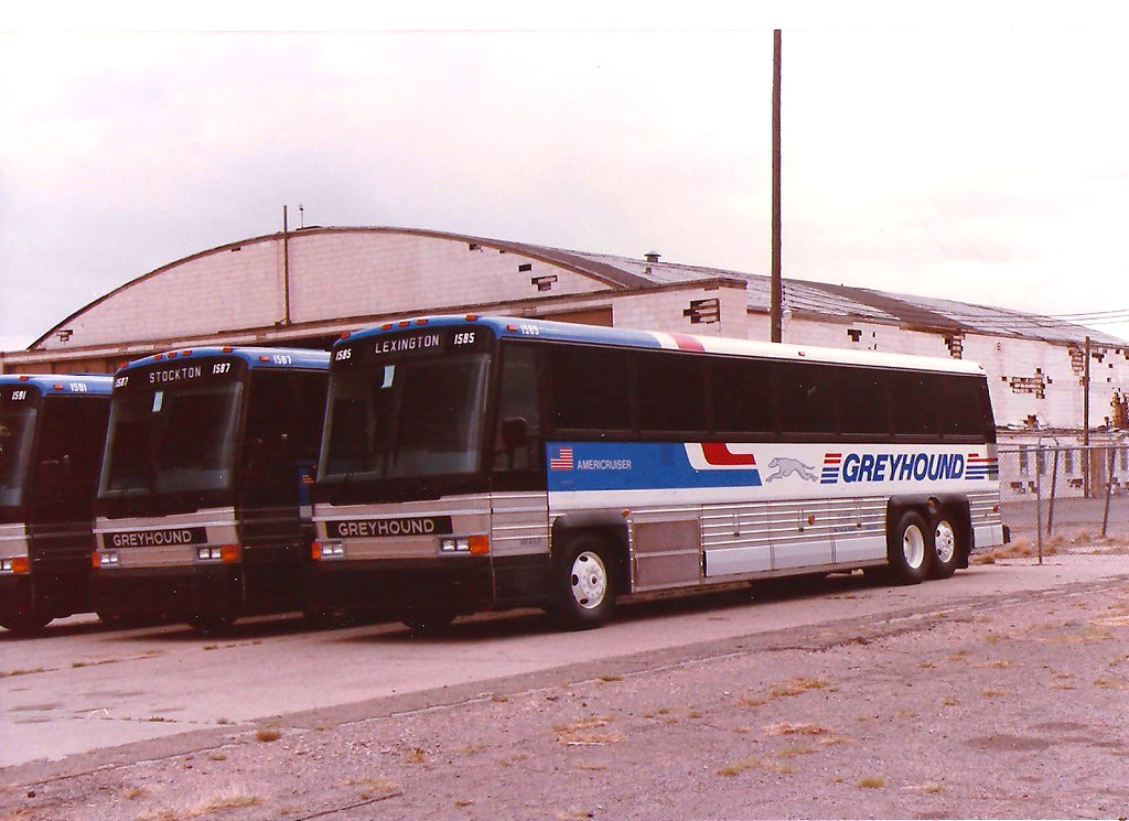 Greyhound 1585 MCI Roswell,NM. Photo Fred Rayman Fred Reutzel Flickr