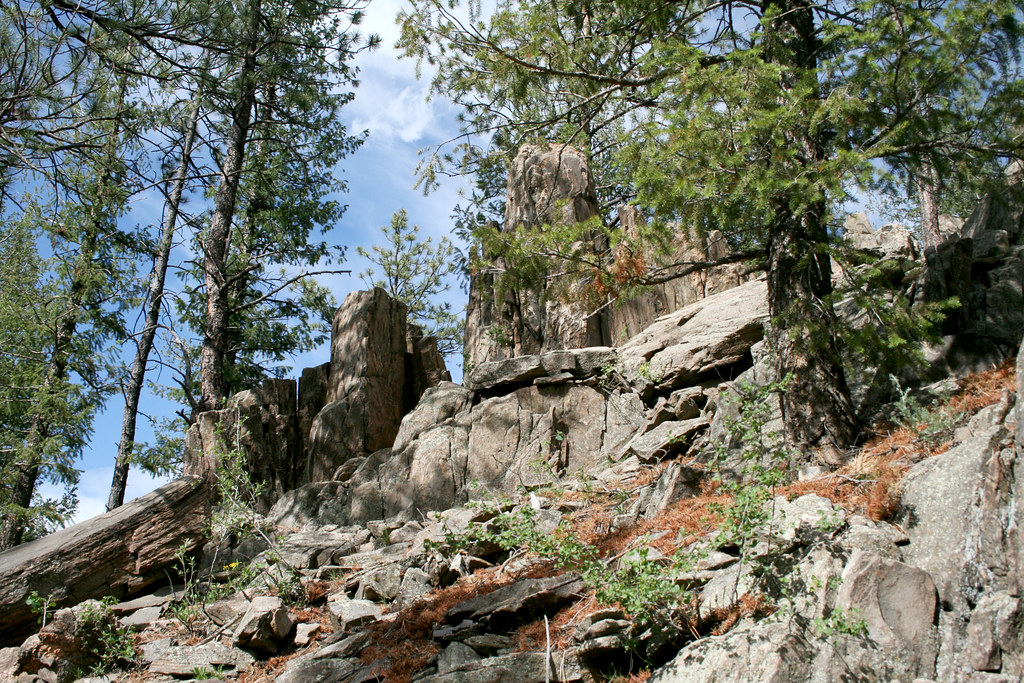 area dominated by pine forests mostly ponderosa pine and b… Flickr