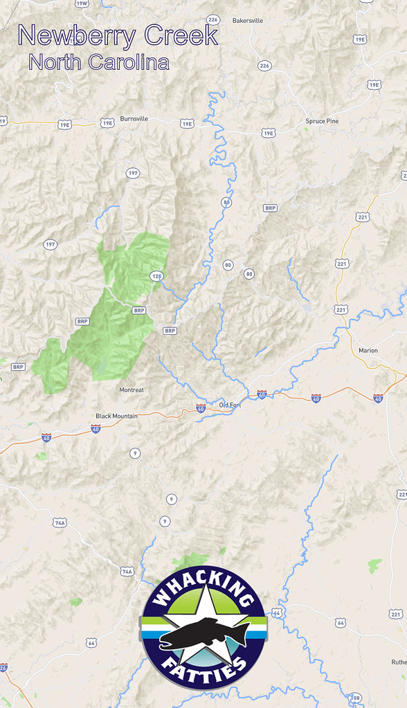 Newberry Creek, North Carolina Newberry Creek, North Carol… Flickr