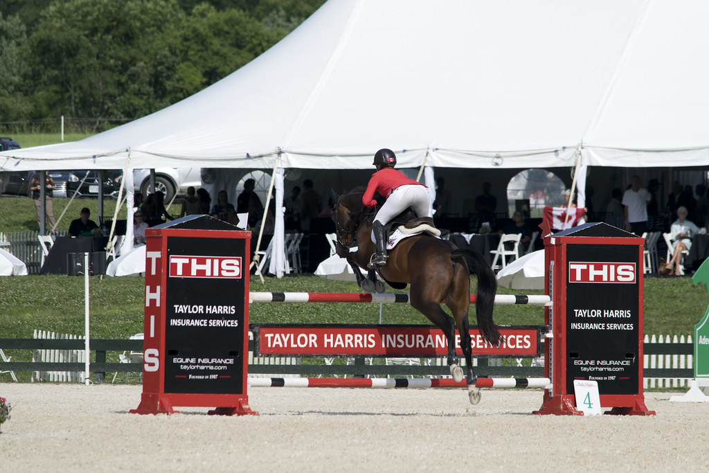 2_JPhoenix_015 Great Meadow International 2017 mykeyII Flickr