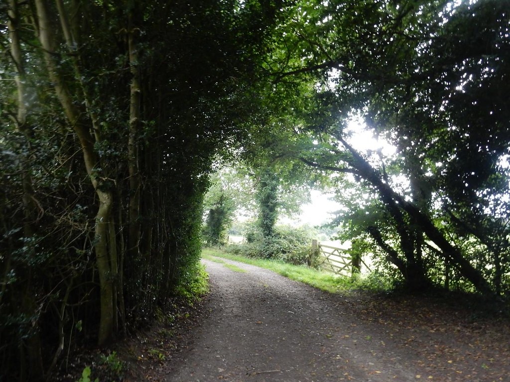 Photos Wendover Circular via The Lee and Swan Bottom Walk SWC
