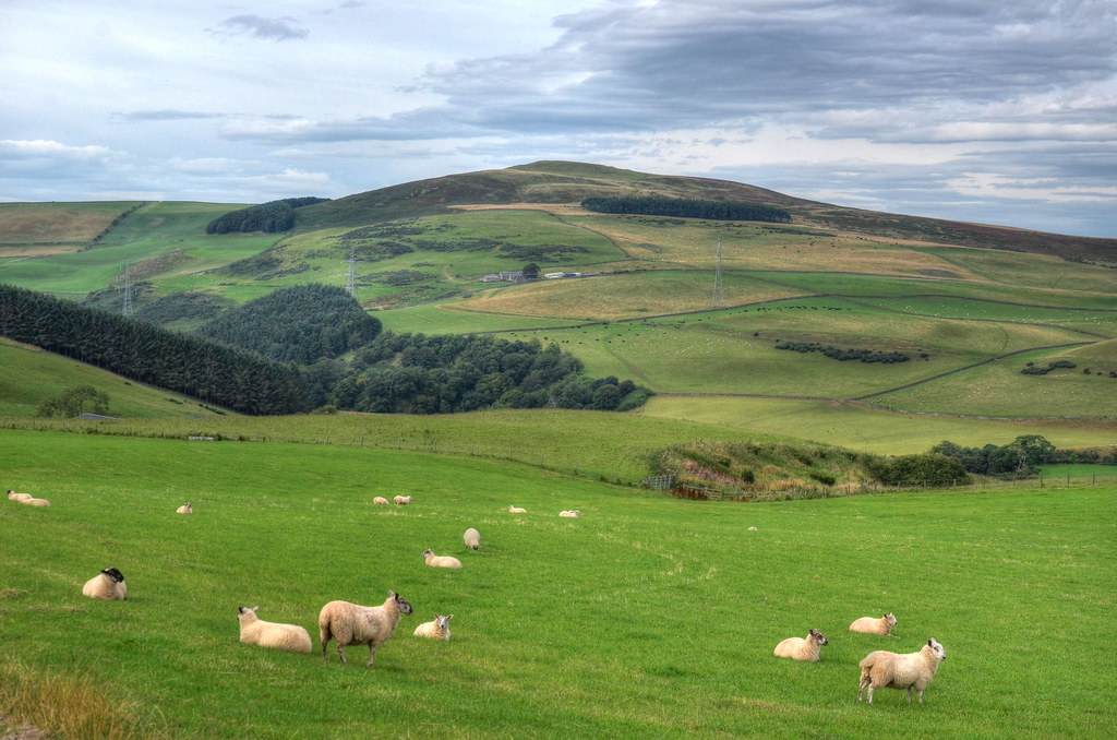 The Lammermuir Hills, Scotland We had been to the coast