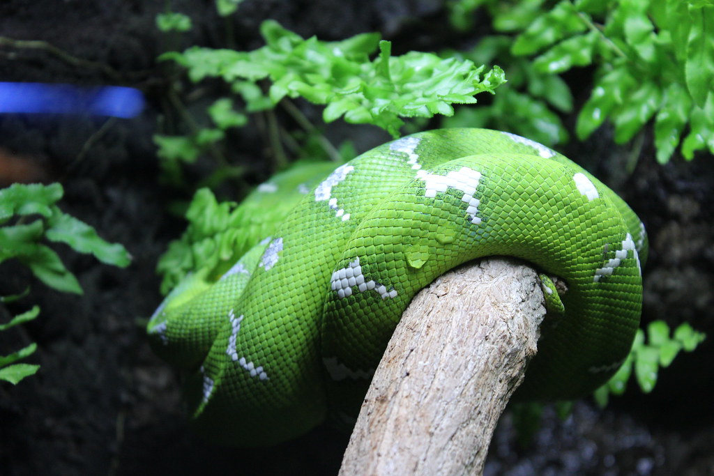 JMU Madison Union Art Galleries Submissions Flickr