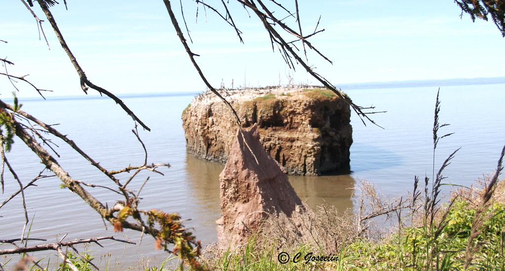 POKESHAW PROVINCIAL PARK GRANDE ANSE NEW BRUNSWICK C… Flickr