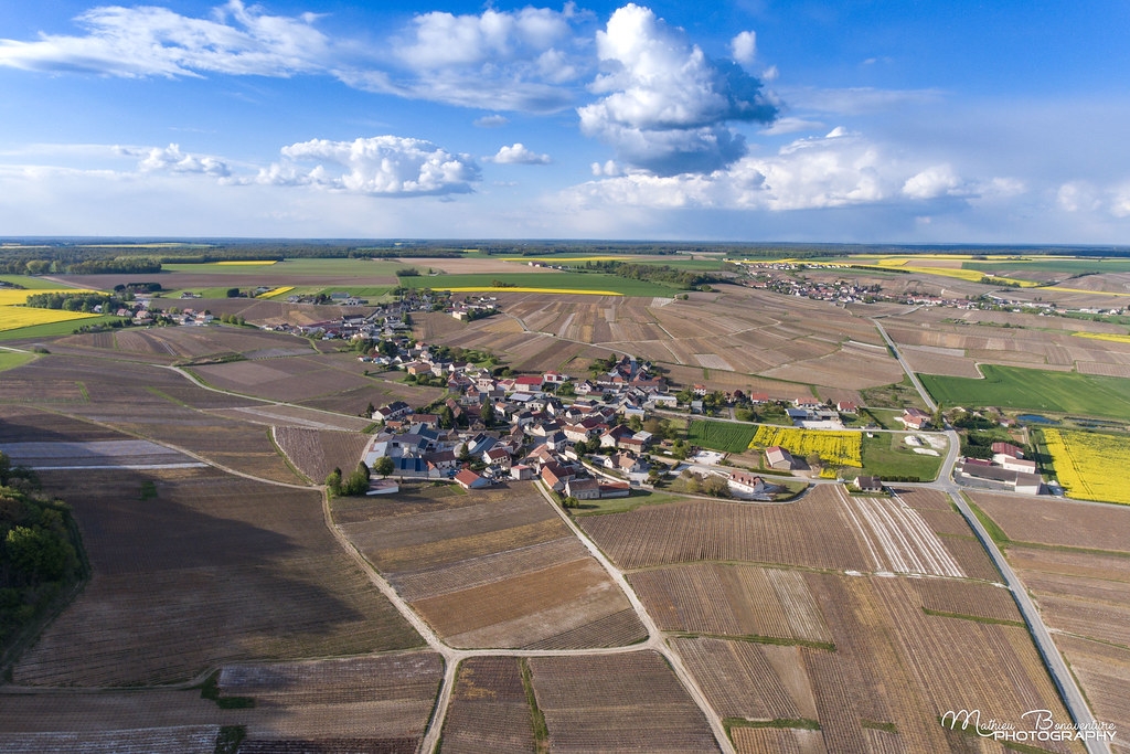 CHAMPAGNE vineyards Spring 2017 Mathieu Bonaventure Flickr