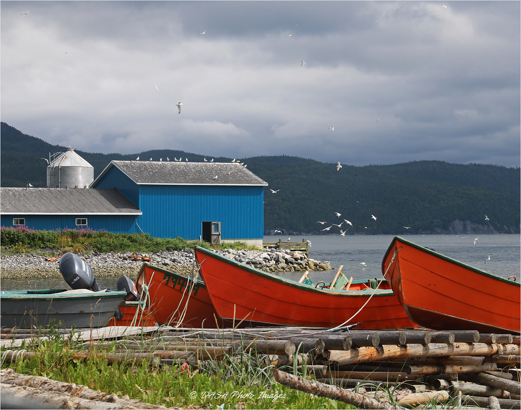 Cox's Cove 4491 Cox's Cove, Newfoundland S & D Alexander Flickr