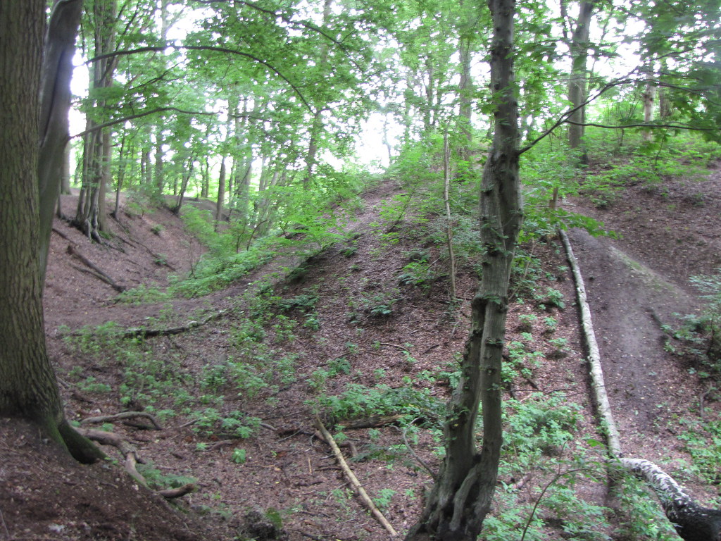 Wallburg Haskenau Ulf der Größte Flickr