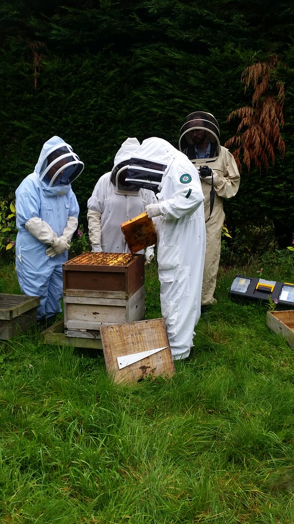 20170921 council Lucinda Yeadon visits LBKA Council Lucind… Flickr