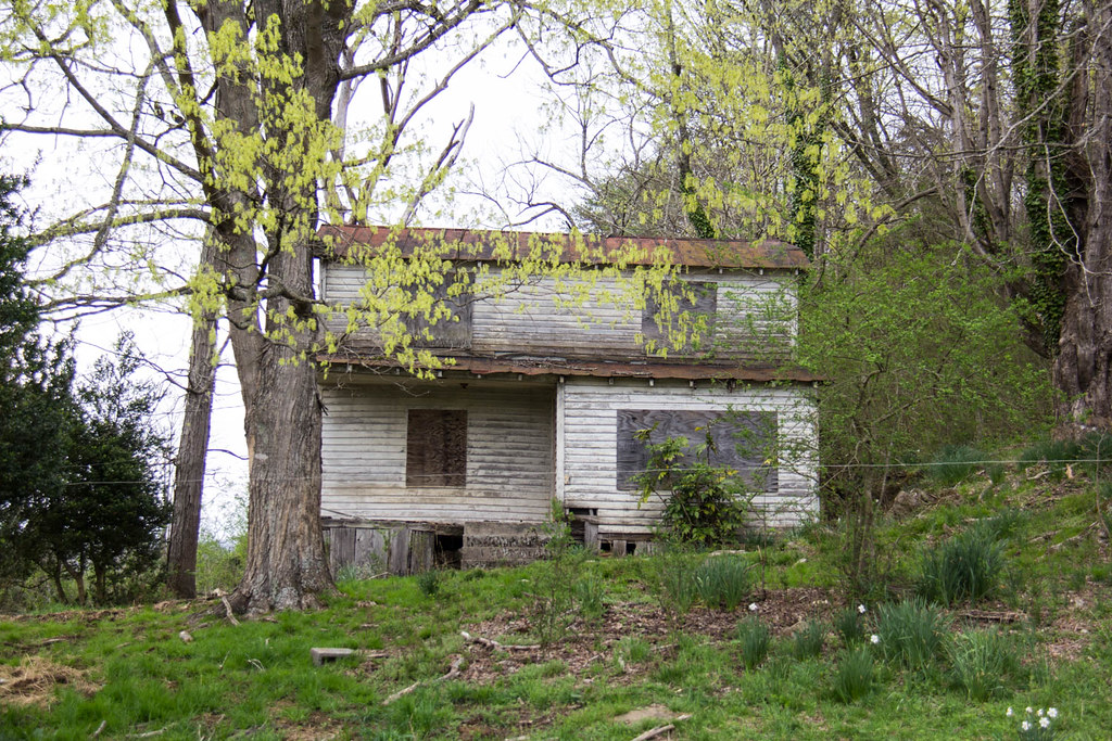 Fire Tower Rd, Mooresburg, TN, USA Sunrise Sunset Times