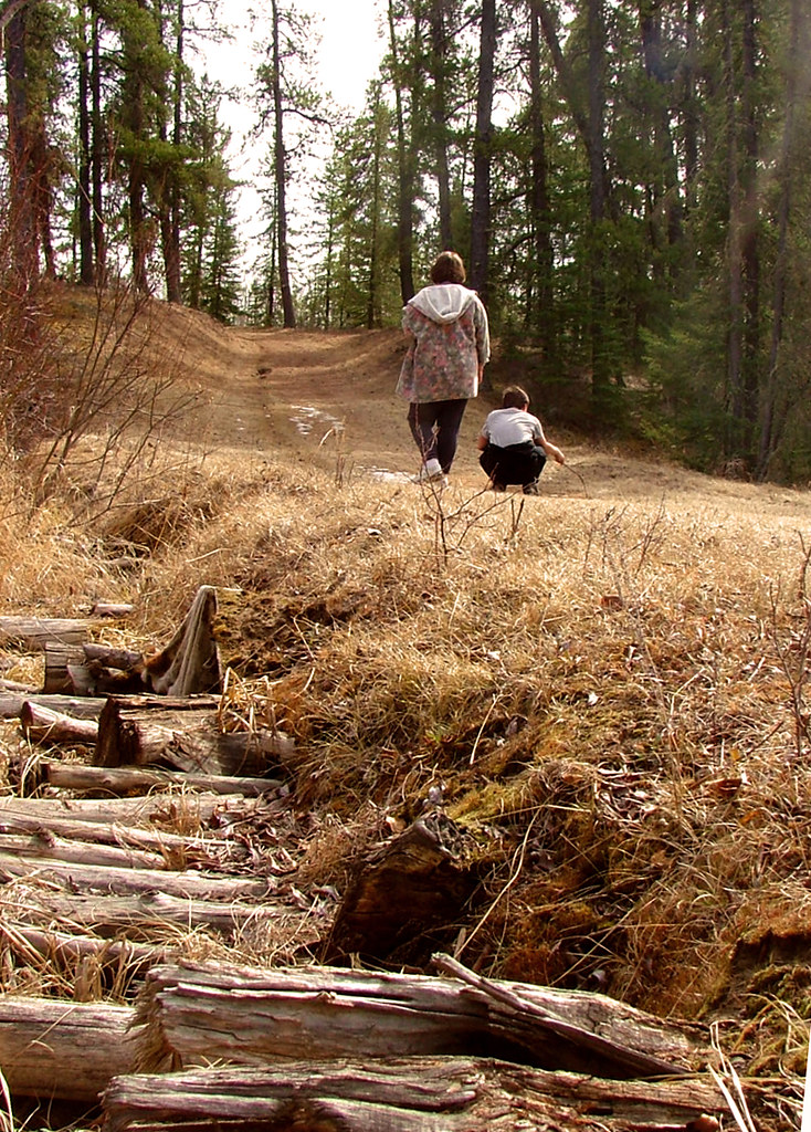 "Corduroy" road The method of building a road over a swamp… Flickr