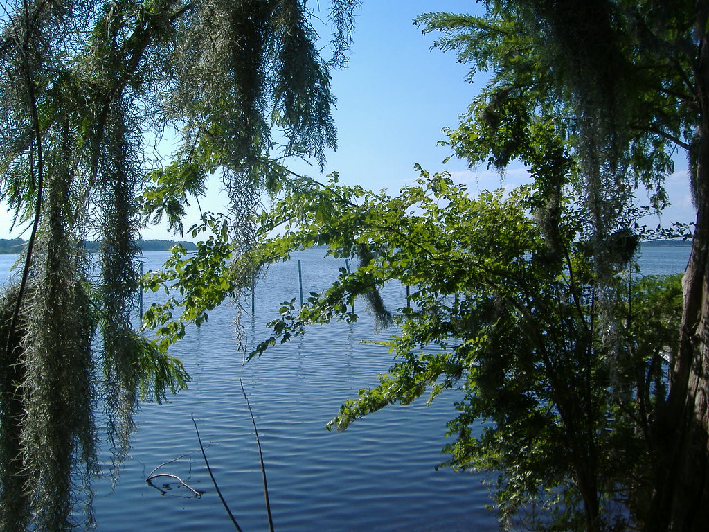 Lake Jessup Lake Jessup, Oviedo, FL Tricia Flickr