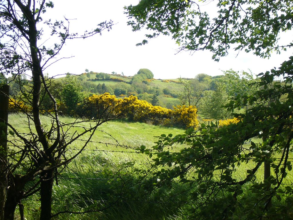 South Armagh countryside The view from the edge of Ballymo… Flickr