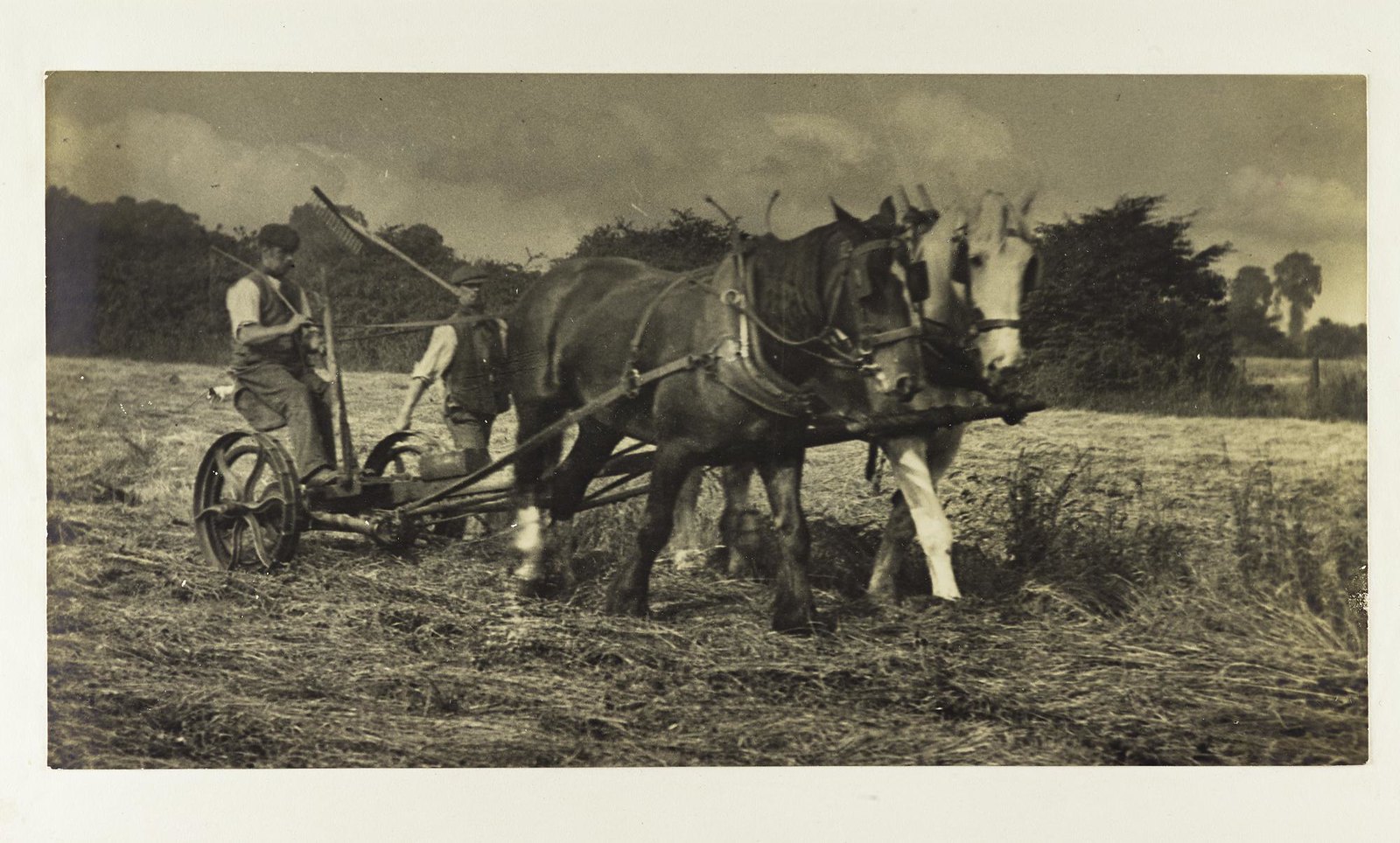 Photography A Victorian Sensation Victorian horses Flickr