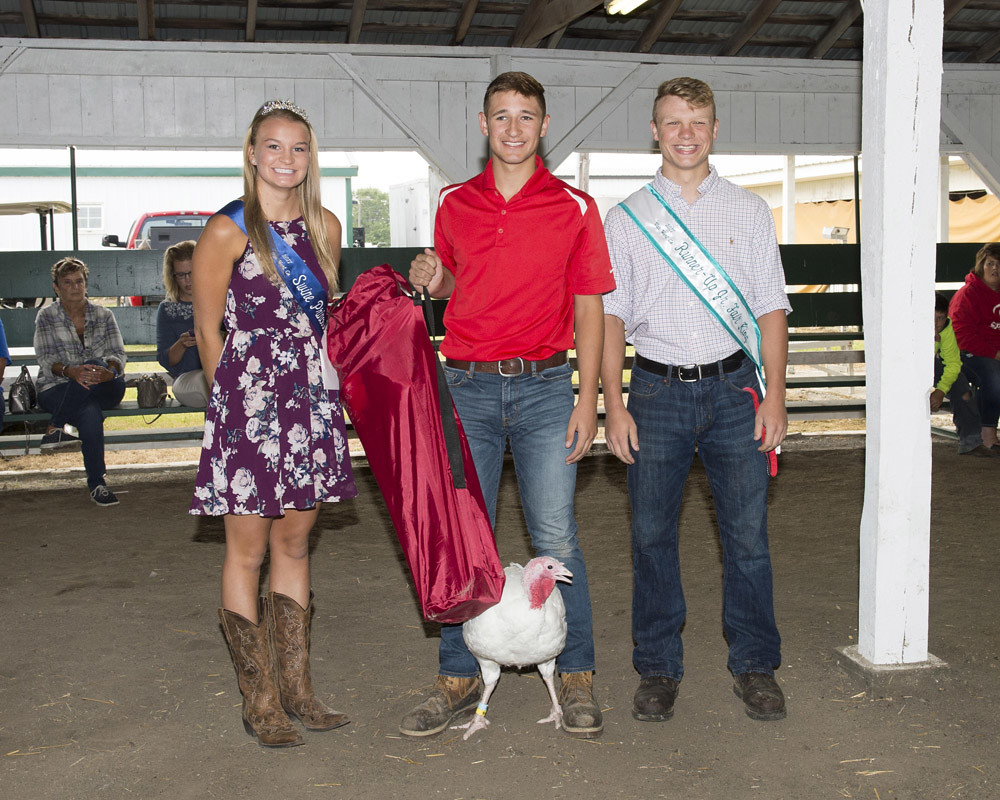 tur3 Van Wert independent Flickr