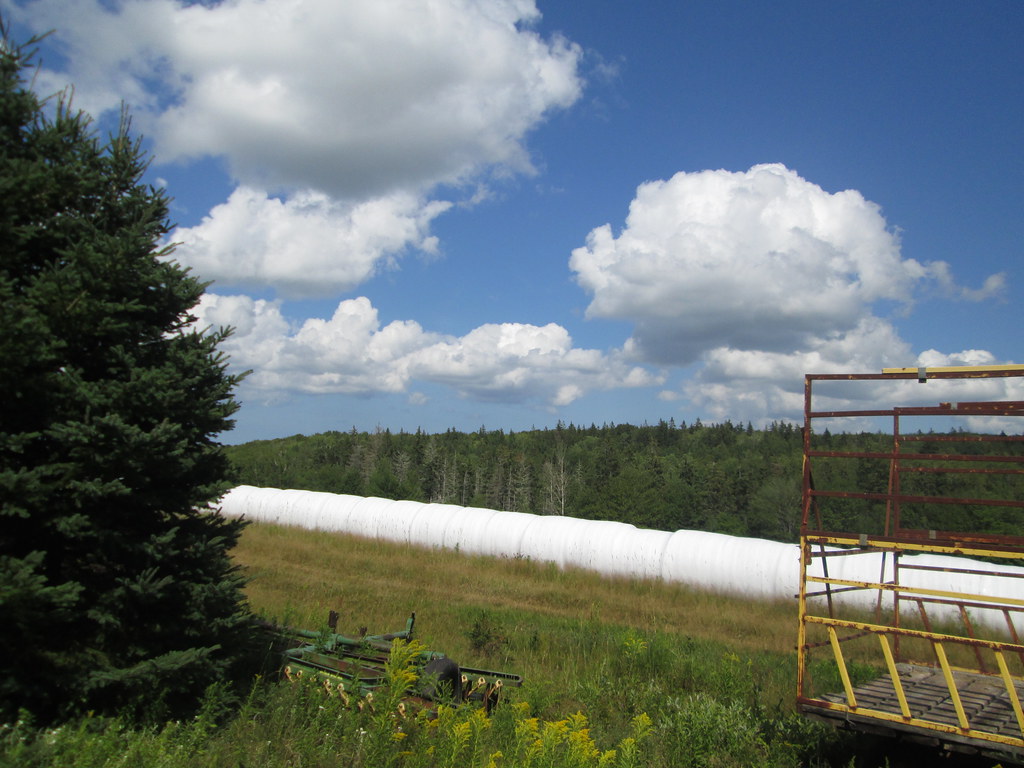 Hunter River, PEI August 10, 2017 Larry Flickr