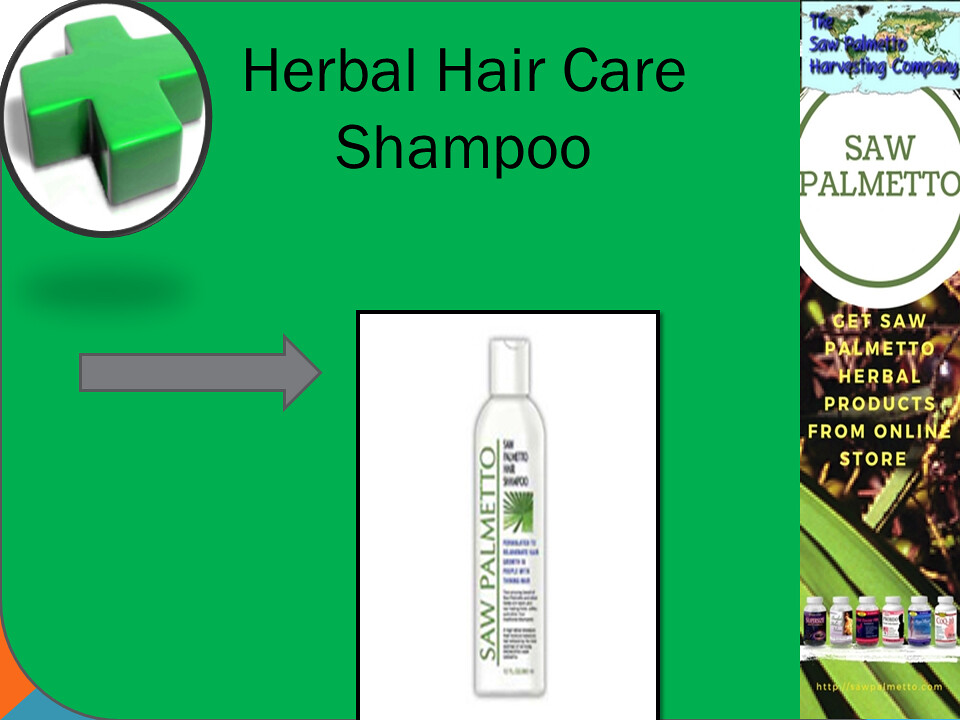 Saw Palmetto Shampoo for Hair Care to Prevent Hair Loss Flickr