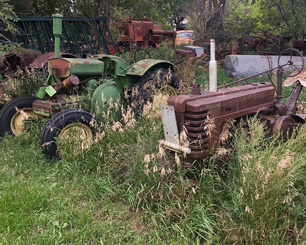 More North Dakota Rust Same locality as prior photo. A cou… Flickr