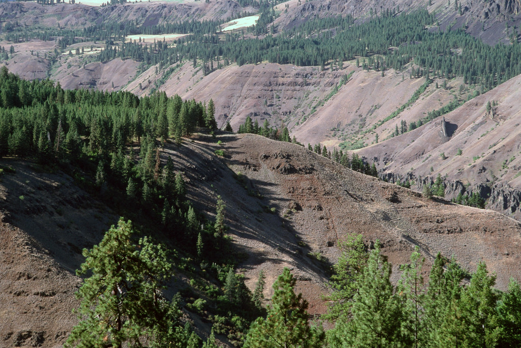 Umatilla Breaks, Umatilla National Forest.jpg U.S. Forest Service