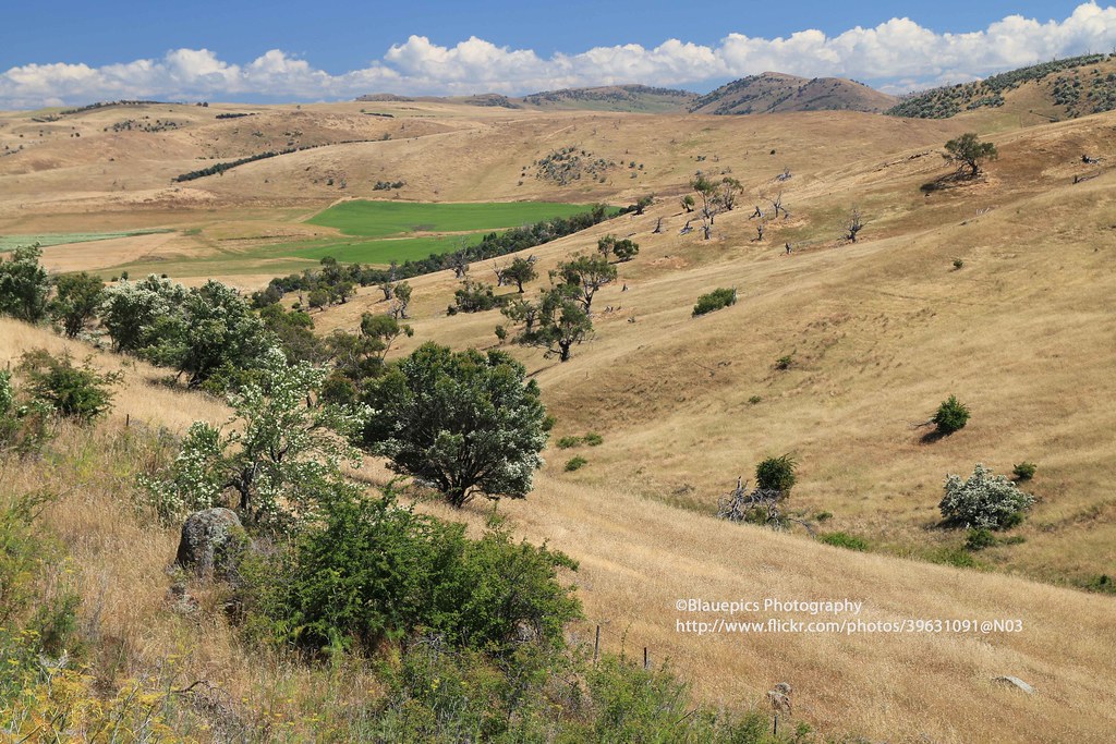 near Ellendale, landscape Gunter Hartnagel Flickr