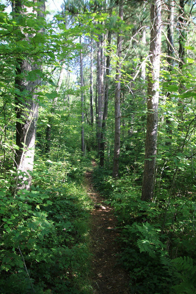 Visit to Cranesville Swamp Preserve (West Virginia & Maryl… Flickr