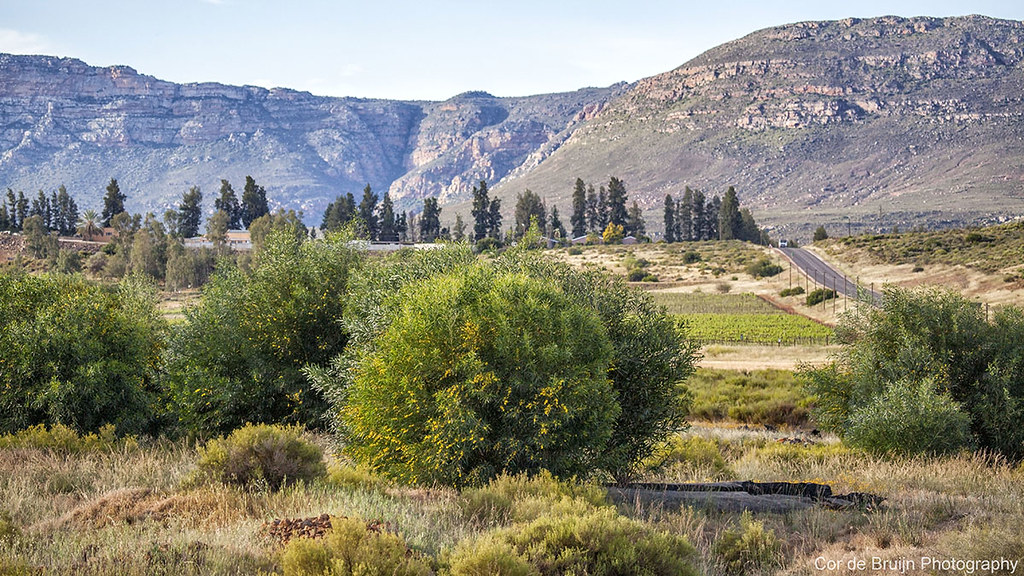 WesKaap Clanwilliam Cor de Bruijn Flickr