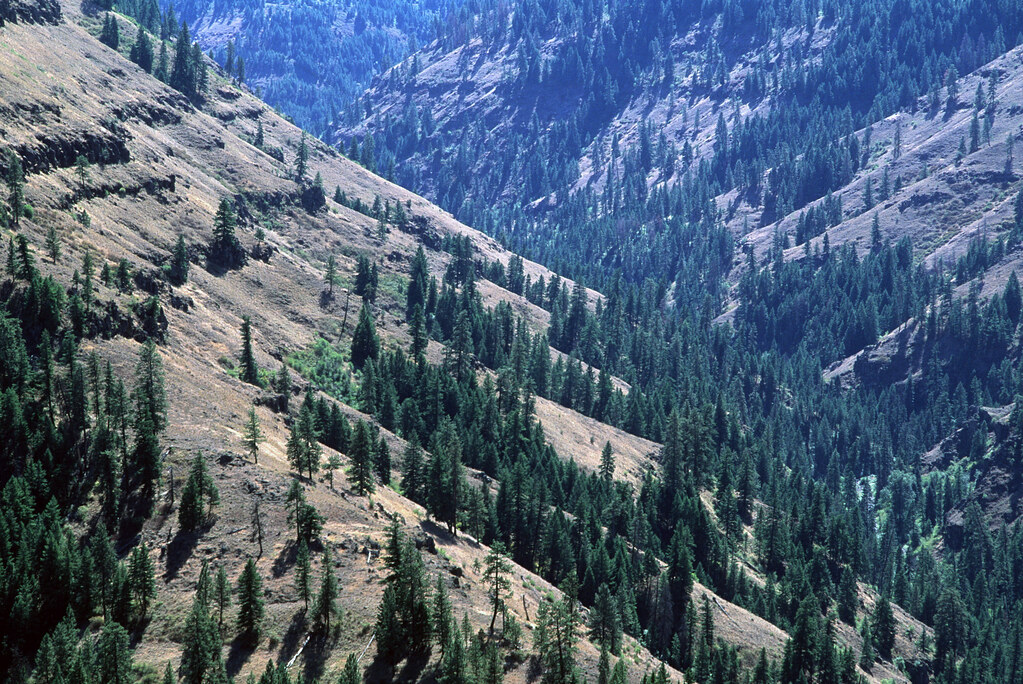 Umatilla Breaks, Umatilla National Forest.jpg U.S. Forest Service