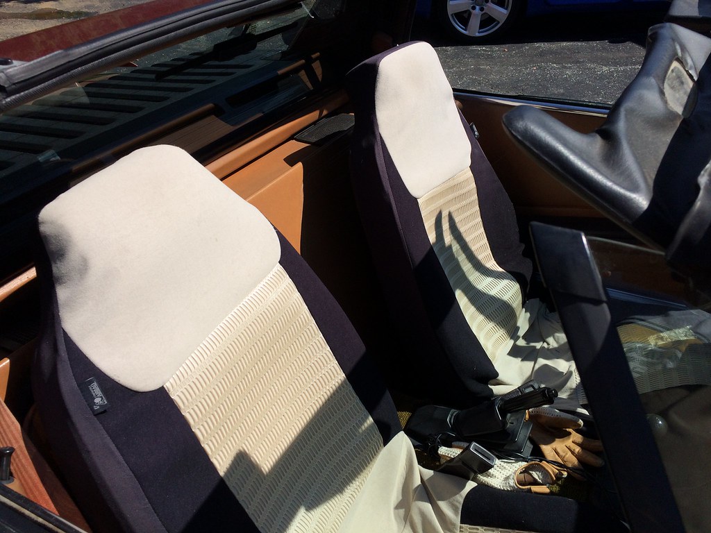 IMG_6581 Cyrus EtemadMoghadam Flickr