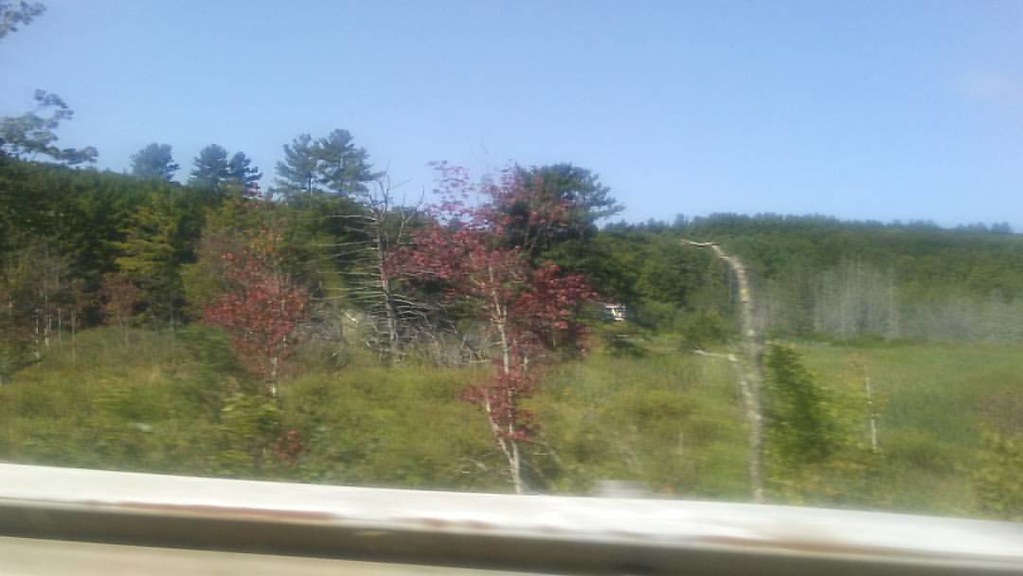 It's So Beautiful In Otis, Massachusetts! Otis Massachus… Flickr