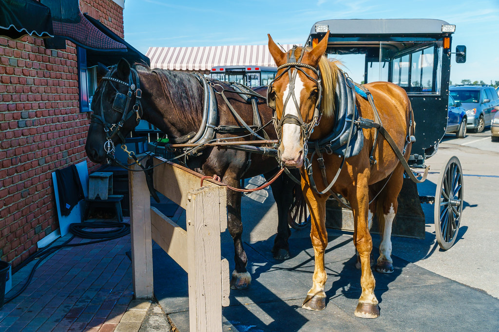Horse and buggy ride at Kitchen Kettle Village, Intercours… Flickr