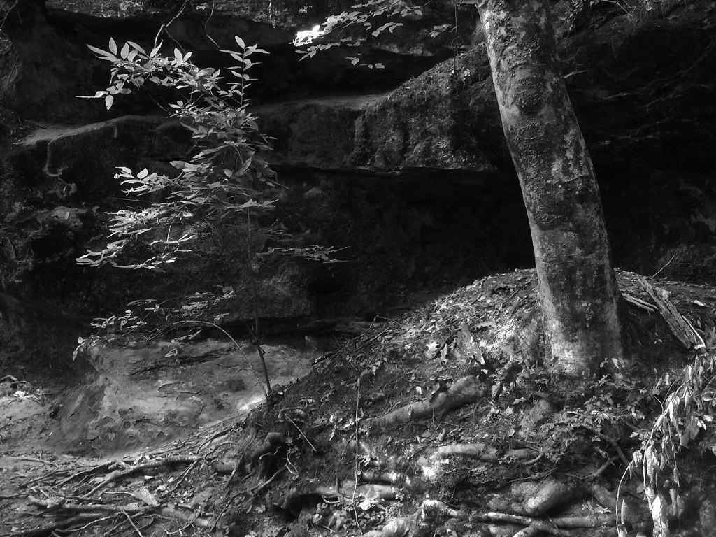 Hollow Hollow Rock area of New Hope Creek, Orange County N… Flickr