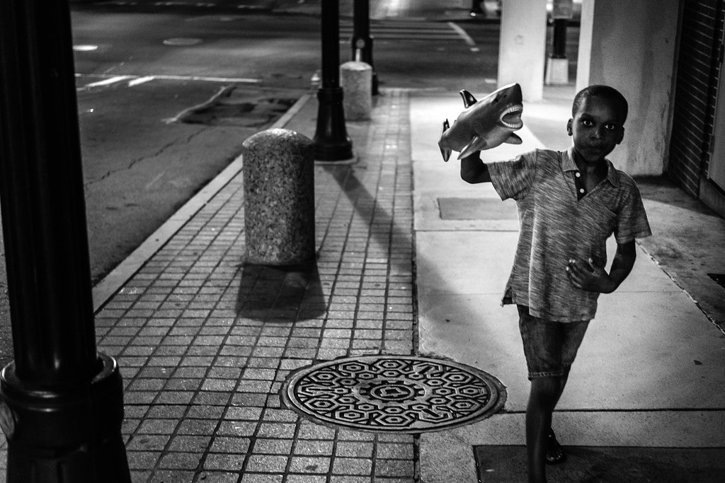 landshark Michael White Flickr