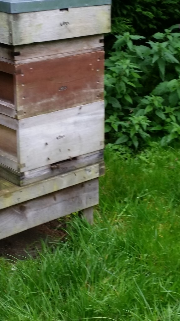 20170921 council Lucinda Yeadon visits LBKA Council Lucind… Flickr