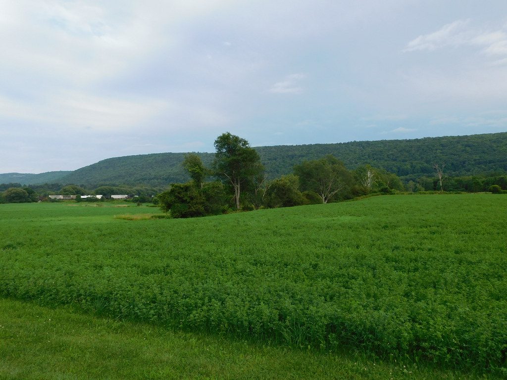 New York Farmland NY Hwy 7 near Maryland, NY Jimmy Emerson, DVM Flickr